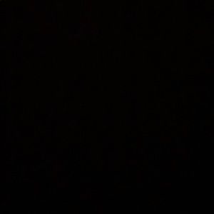 Meet your Posher, Lymarie